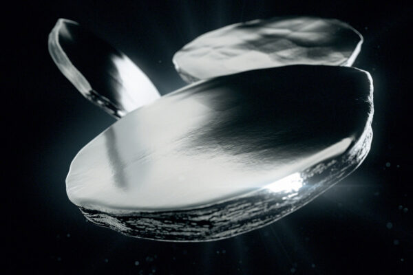 SilverDollar_1920x1080