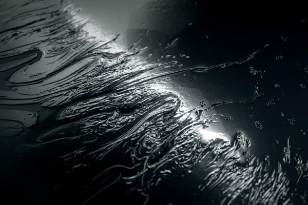 100_SilverDollar_CU_BANNER_v001_FLAT